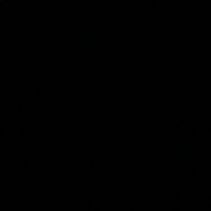 Meet your Posher, Tori